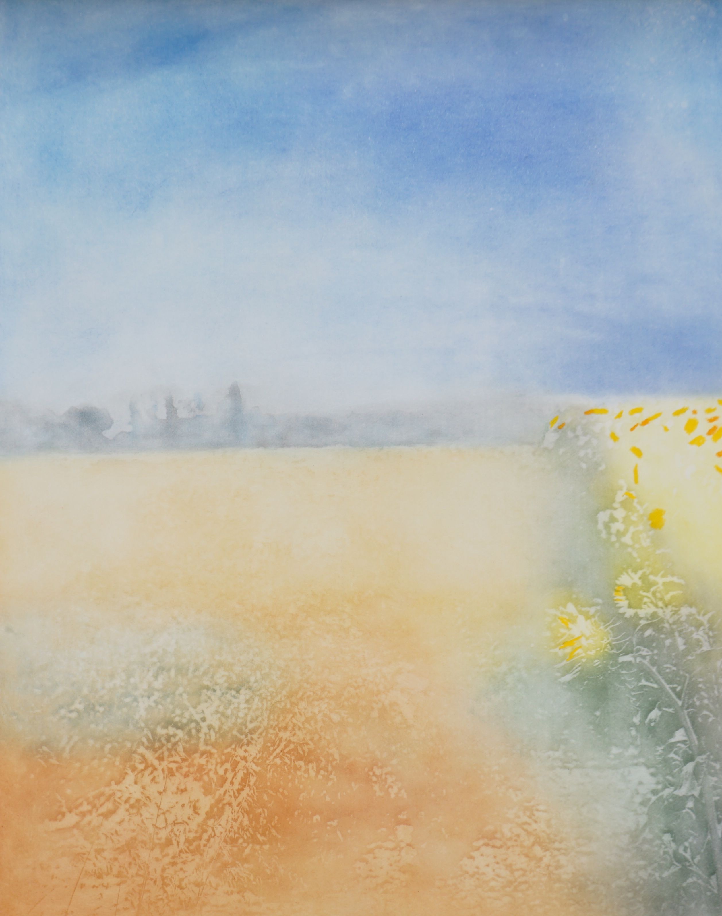 Donald Wilkinson (1937-), limited edition printed triptych, 'Fields near Orange Provencal', signed, 4/80, each sheet 74 x 56cm, unframed